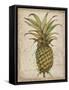 Pineapple Study I-Tim OToole-Framed Stretched Canvas