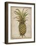 Pineapple Study I-Tim OToole-Framed Art Print