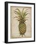 Pineapple Study I-Tim OToole-Framed Art Print