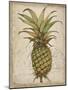 Pineapple Study I-Tim OToole-Mounted Art Print