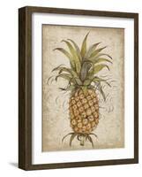 Pineapple Study II-Tim OToole-Framed Art Print