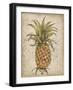 Pineapple Study II-Tim OToole-Framed Art Print