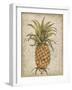 Pineapple Study II-Tim OToole-Framed Art Print