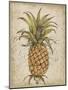 Pineapple Study II-Tim OToole-Mounted Art Print