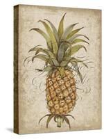 Pineapple Study II-Tim OToole-Stretched Canvas