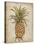 Pineapple Study II-Tim OToole-Stretched Canvas