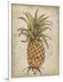 Pineapple Study II-Tim OToole-Framed Art Print