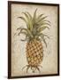 Pineapple Study II-Tim OToole-Framed Art Print