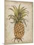 Pineapple Study II-Tim OToole-Mounted Art Print