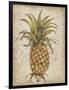 Pineapple Study II-Tim OToole-Framed Art Print