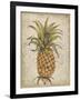 Pineapple Study II-Tim OToole-Framed Art Print