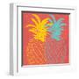 Pineapple Summer-Kimberly Allen-Framed Art Print