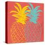 Pineapple Summer-Kimberly Allen-Stretched Canvas