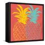 Pineapple Summer-Kimberly Allen-Framed Stretched Canvas