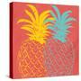 Pineapple Summer-Kimberly Allen-Stretched Canvas