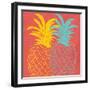 Pineapple Summer-Kimberly Allen-Framed Art Print