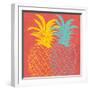 Pineapple Summer-Kimberly Allen-Framed Art Print