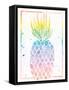 Pineapple Sunrise-Ashley Sta Teresa-Framed Stretched Canvas