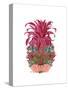 Pineapple, Tropical Flowers 2-Fab Funky-Stretched Canvas