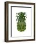 Pineapple, Tropical Palms, Green-Fab Funky-Framed Art Print