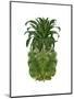 Pineapple, Tropical Palms, Green-Fab Funky-Mounted Art Print