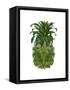 Pineapple, Tropical Palms, Green-Fab Funky-Framed Stretched Canvas