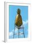 Pineapple Water Tower, Hawaii-null-Framed Art Print