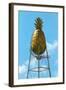 Pineapple Water Tower, Hawaii-null-Framed Art Print