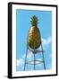 Pineapple Water Tower, Hawaii-null-Framed Art Print