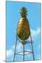 Pineapple Water Tower, Hawaii-null-Mounted Art Print