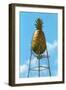 Pineapple Water Tower, Hawaii-null-Framed Art Print