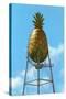 Pineapple Water Tower, Hawaii-null-Stretched Canvas