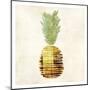 Pineapple-Kristin Emery-Mounted Art Print