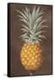 Pineapple-null-Framed Stretched Canvas