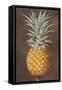 Pineapple-null-Framed Stretched Canvas