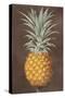 Pineapple-null-Stretched Canvas