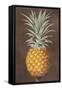 Pineapple-null-Framed Stretched Canvas