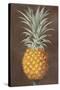 Pineapple-null-Stretched Canvas