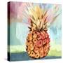 Pineapple-PI Studio-Stretched Canvas