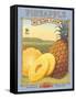 Pineapple-Kerne Erickson-Framed Stretched Canvas