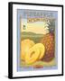 Pineapple-Kerne Erickson-Framed Art Print