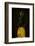 Pineapple-Wieteke de Kogel-Framed Photographic Print