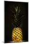 Pineapple-Wieteke de Kogel-Mounted Photographic Print