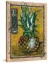 Pineapple-Jennifer Garant-Stretched Canvas