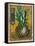 Pineapple-Jennifer Garant-Framed Stretched Canvas