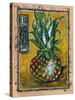 Pineapple-Jennifer Garant-Stretched Canvas