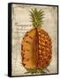 Pineapple-Kate Ward Thacker-Framed Stretched Canvas