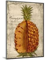 Pineapple-Kate Ward Thacker-Mounted Giclee Print