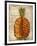 Pineapple-Kate Ward Thacker-Framed Giclee Print