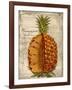 Pineapple-Kate Ward Thacker-Framed Giclee Print